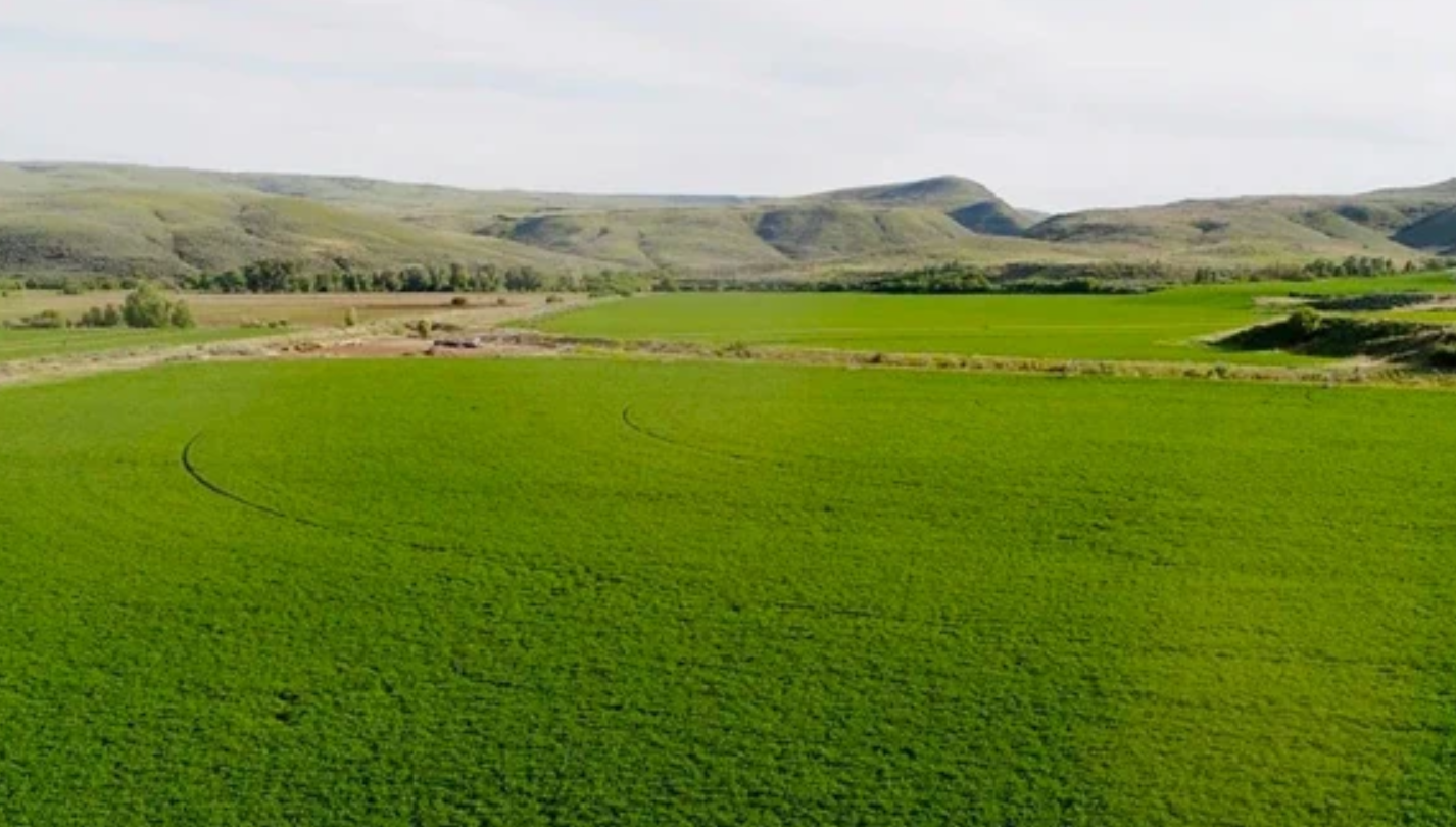 Empower Your Land with Sustainable Living Solutions 