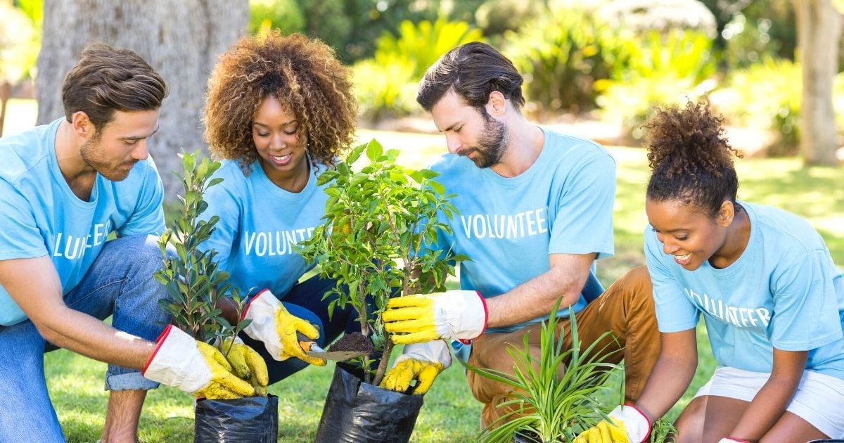 Volunteer with Viviscent Wellness Foundation