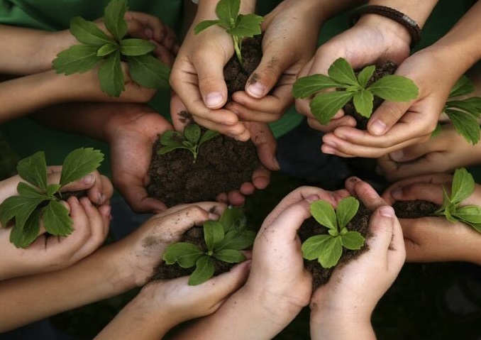 Viviscent Wellness Foundation Transparency 